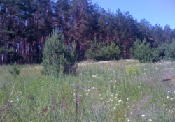 Земельна ділянка фото 5 Земельна ділянка фото 5