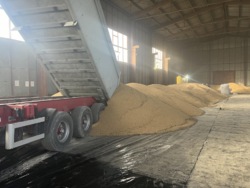 ��������� ������ ��������, ������������, �������� ���� 6