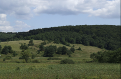 Продаж земельних ділянок під житлову забудову (Львівська обл.) фото 1 Продаж земельних ділянок під житлову забудову (Львівська обл.) фото 1