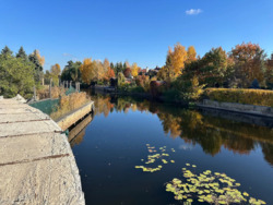 Продається ділянка Київ, Конча-Заспа, Козин фото 11 Продається ділянка Київ, Конча-Заспа, Козин фото 11