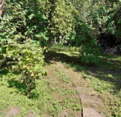 Продаж прямокутної ділянки, рельєф рівний. фото 4 Продаж прямокутної ділянки, рельєф рівний. фото 4