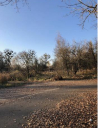 Продаж Фасадної ділянки на трасі Київ – Житомир фото 3 Продаж Фасадної ділянки на трасі Київ – Житомир фото 3