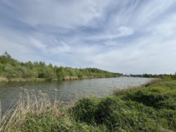 Продається ділянка Київ, Хутір Ясний фото 4 Продається ділянка Київ, Хутір Ясний фото 4