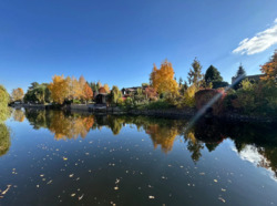 Продається ділянка Київ, Конча-Заспа, Козин фото 1 Продається ділянка Київ, Конча-Заспа, Козин фото 1