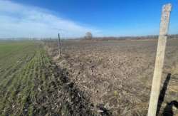 Земельна ділянка фото 4 Земельна ділянка фото 4