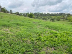 Земельна ділянка фото 4 Земельна ділянка фото 4