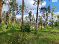 Продається ділянка Київ фото 7 Продається ділянка Київ фото 7