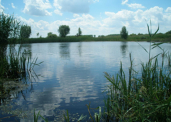 Земельна ділянка фото 3 Земельна ділянка фото 3