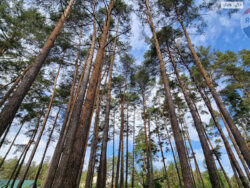 Продається ділянка Київ фото 1 Продається ділянка Київ фото 1