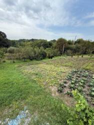 ������ ���� ���.������� ���� 5