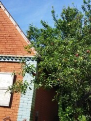 ������ �������, ���� ���� 3