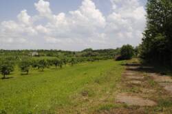 �������� �������� ������ ���� 16