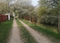 ������ �������� ������ 10 ����� ���� 2