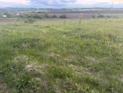 ������ �������� ����� ���� 2