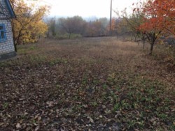 ������ �������� ������ � ���������� ��������. ���� 1