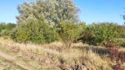 ������ �������� ������ ���� 3