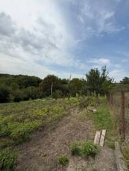 ������ ���� ���.������� ���� 7