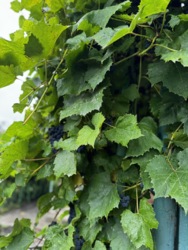 �������� ������ ���������. ���� 3