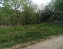 ������ �������� ������ 10 ����� ���� 1