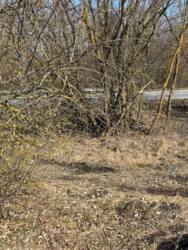 ������ ������� �������� ������ ������� ���� 2