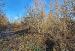 ������ �������� ������ ���� 3