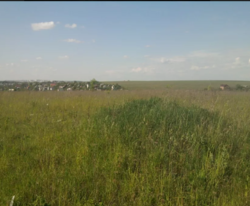 ��������� ������� ������, �����������, �����������, ������ ���� 2