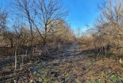 ������ �������� ������ ���� 8