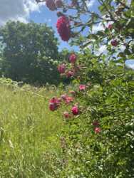 Продаж земельної ділянкі фото 14 Продаж земельної ділянкі фото 14