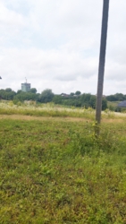 ��������� ������� ���. ������������, �����������, �����������, �������� ���� 7