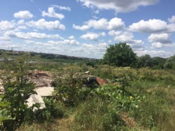 �������� ������ �� ����� �����, �-� ������ ���� 11