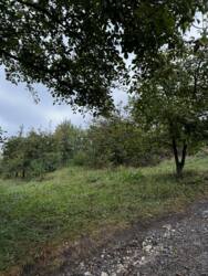 �������� ������ ���������. ���� 10