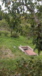 ������ ���� ���.������� ���� 15