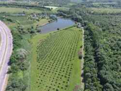 �������� �������� ������ ���� 50