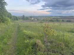 ������ �������� ����� ���� 5