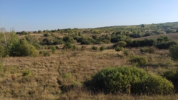 ������ �������� ������ ���� 2