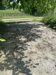 Продаж земельної ділянкі фото 8 Продаж земельної ділянкі фото 8