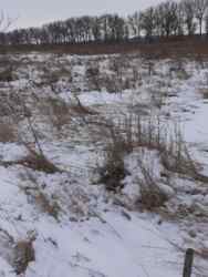 Продаж земельна ділянка Лєзнєво фото 1 Продаж земельна ділянка Лєзнєво фото 1