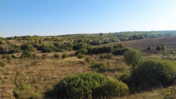 ������ �������� ������ ���� 1