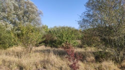 ������ �������� ������ ���� 2