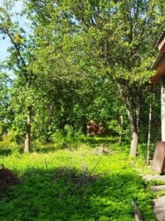 ������ �������, ���� ���� 5