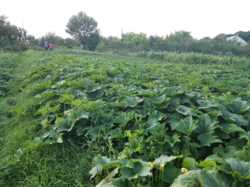 ������ �������� ������ �� ������� �������� � ��� ���������, ����������� ������, ̳����� ������, ����� 25 ����� ���� 7