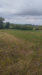 ��������� ������� ���. ������������, �����������, �����������, �������� ���� 10