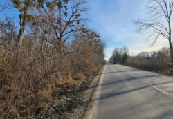 ������ �������� ������ ���� 1