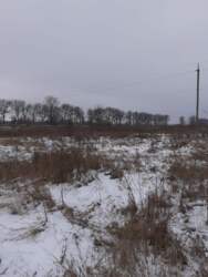 Продаж земельна ділянка Лєзнєво фото 3 Продаж земельна ділянка Лєзнєво фото 3