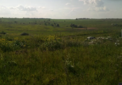 ��������� ������� ������, �����������, �����������, ������ ���� 4