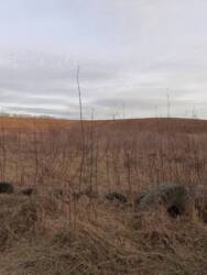 �������� ������ ˺����� 1�� ���� 4