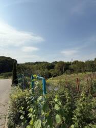 ������ ���� ���.������� ���� 2