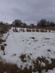 ������ �������� ������ � ˺����� ���� 1