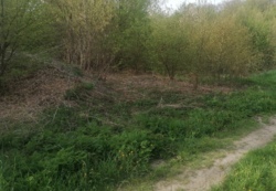 ������ �������� ������ 10 ����� ���� 10