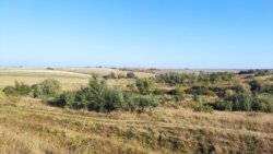 ������ �������� ������ ���� 7